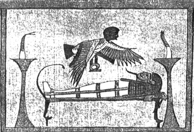 [Figure 15&nbsp;&mdash; Ba
hovering over a body]